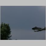Flugtag _Lehrte_2010_065.jpg